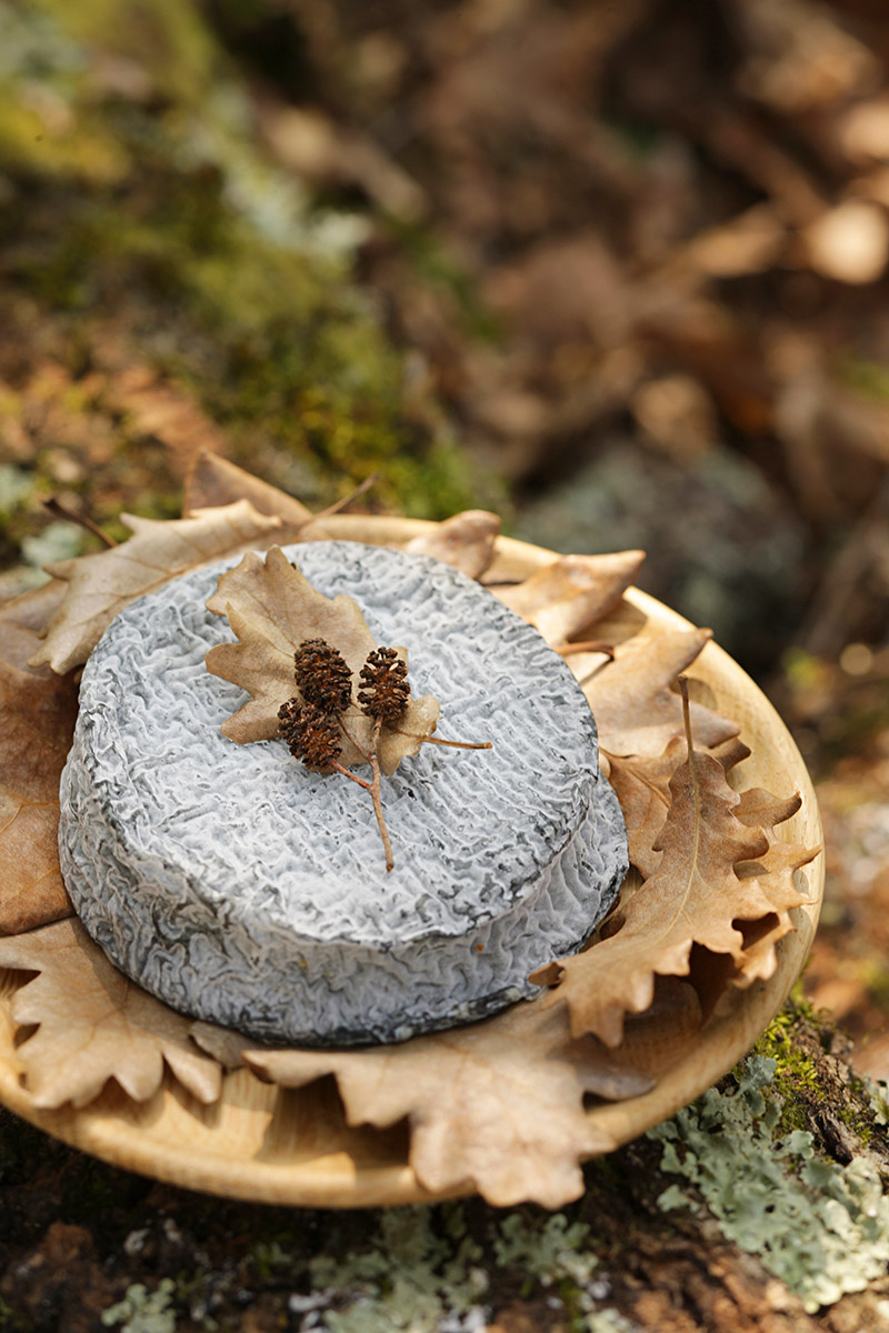 Fromage Selles sur Cher dans une assiette automnale