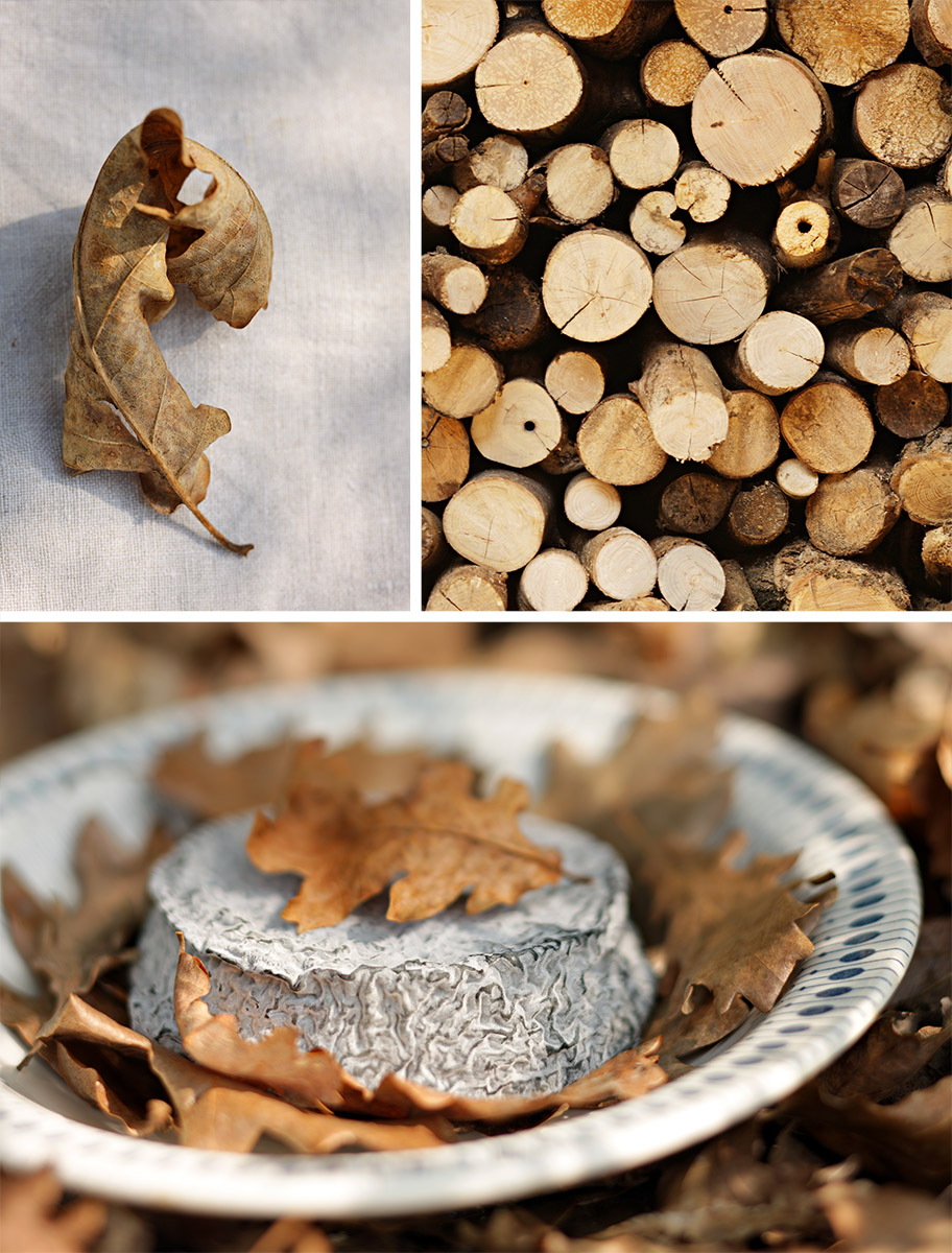 Fromage Selles sur Cher dans une assiette, feuille morte