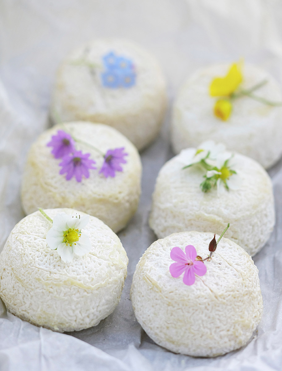 Fromages de chèvres de Sancerre et fleurs des champs