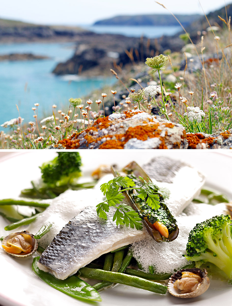 Assiette poisson Bar et légumes verts, coquillages