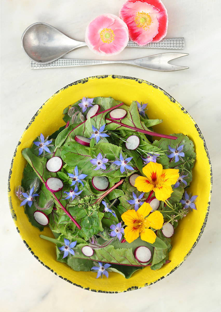 Salade épinard et fleurs bourrache