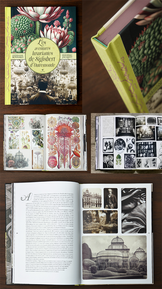 Images of the art-book printed