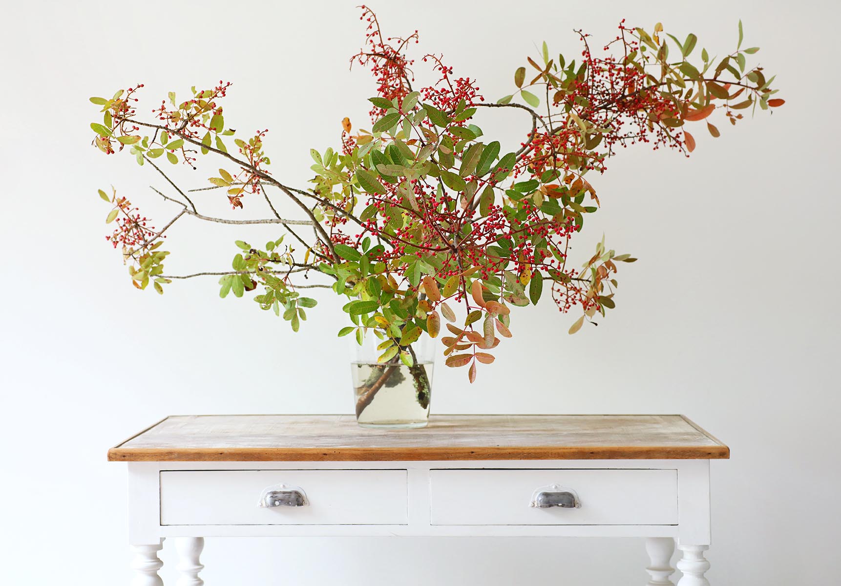 Bouquet d'automne, branches Pistachier Terebinthe sur un bureau blanc