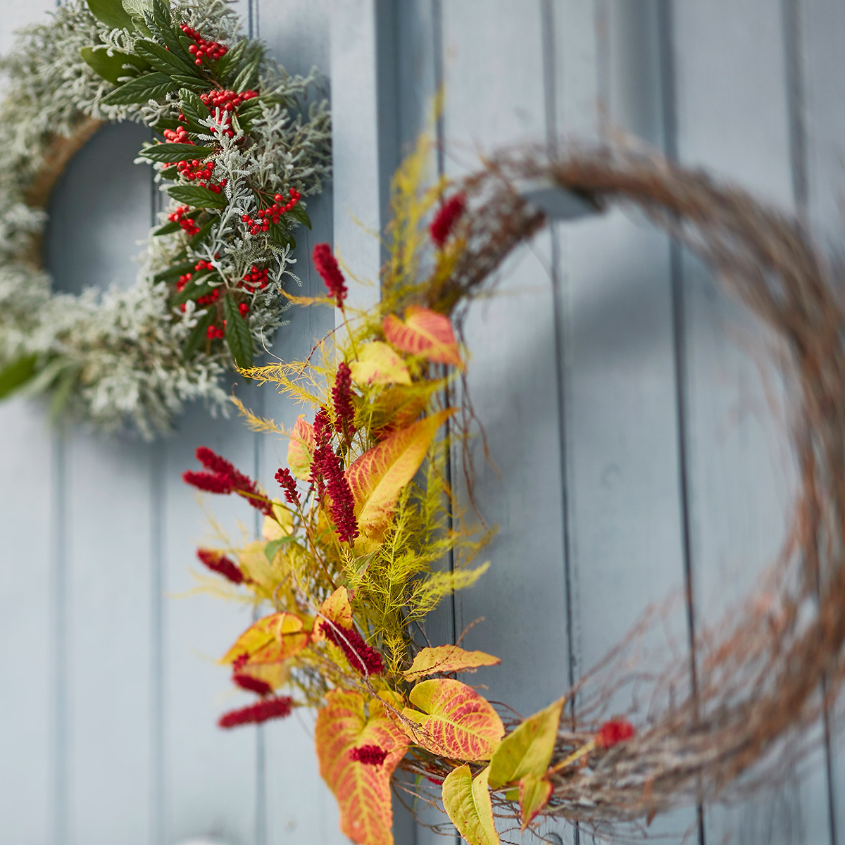 Couronne de porte de Noël décoration florale en santoline et cotoneaster, feuilles et fleurs de Renouée persicaire (Persicaria amplexicaulis)