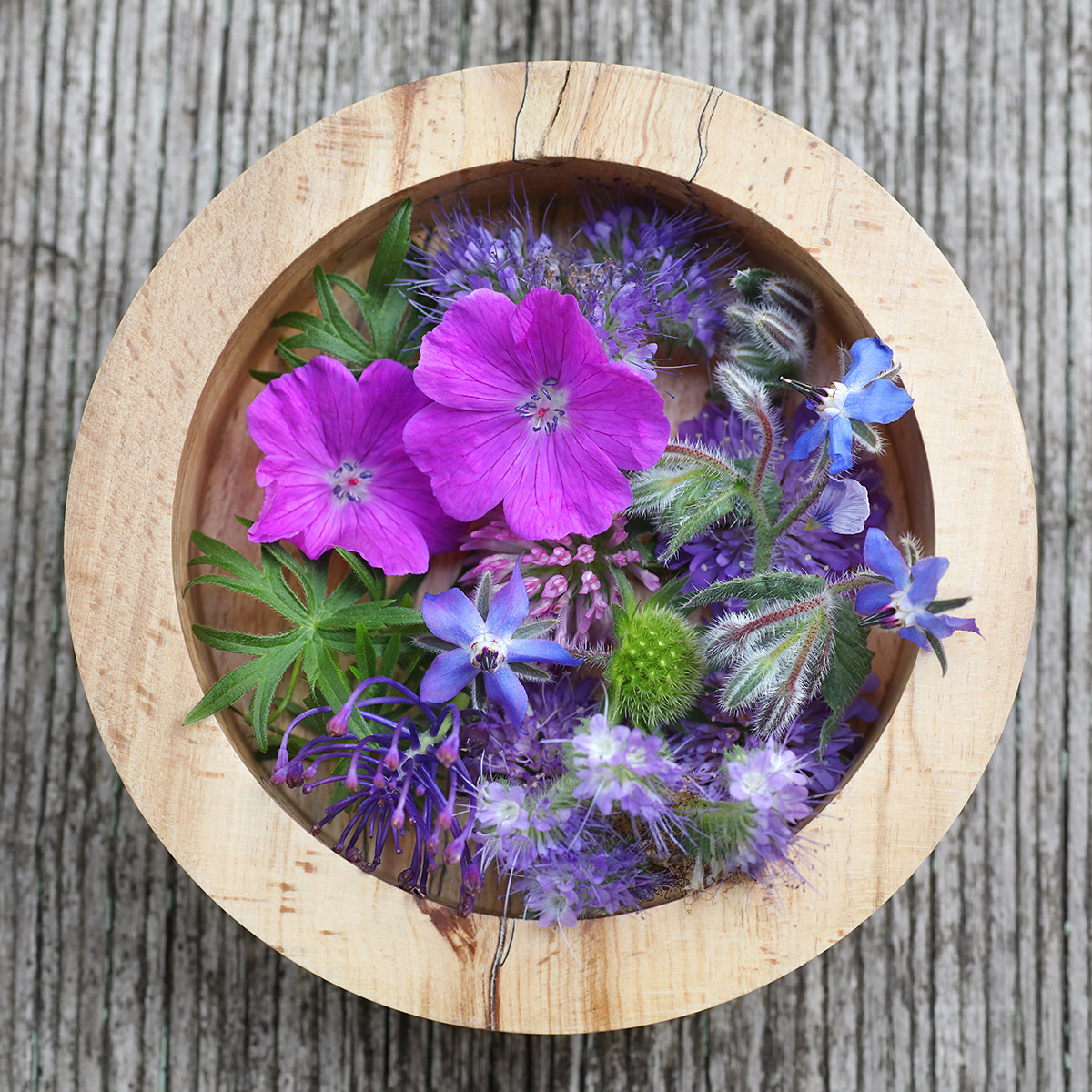 Bol en bois contenant des fleurs commestibles : bourrache, géranium, treffle, phacélie
