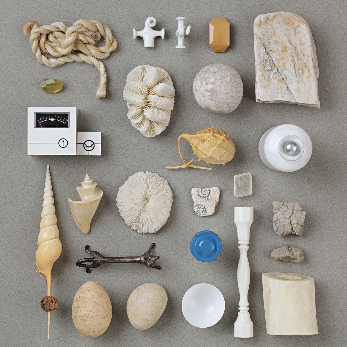 Nature morte, collection d'objets variés de couleur blanche ou grise, corail, os, coquillages