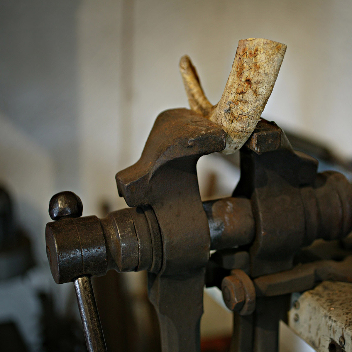 Atelier, corne dans un étau ancien