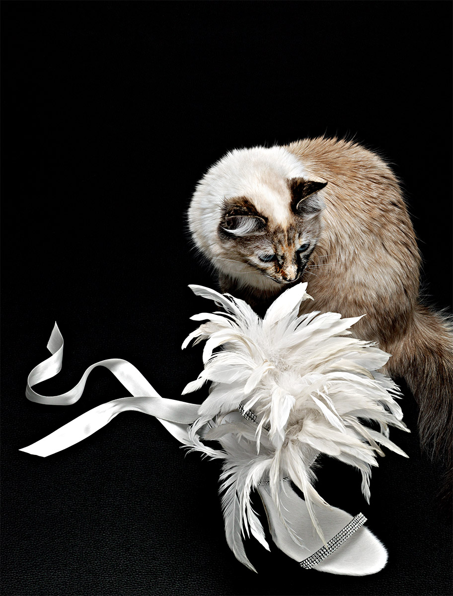 Catalogue Le Printemps - escarpin en plumes blanche, semelle fourrure, brillants et un chat sur fond noir